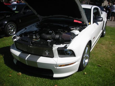 1992 Ford Crown Victoria - A white Ford Mustang is displayed with its hood open, revealing the engine bay.