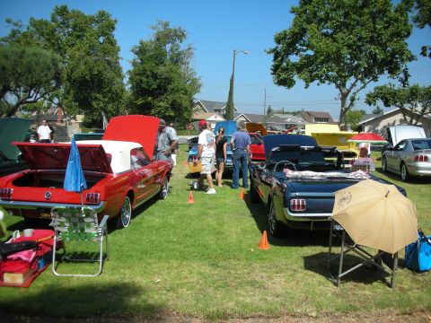 1992 Ford Crown Victoria - Convertible cars are displayed on a grassy field under a clear blue sky at an outdoor car show.