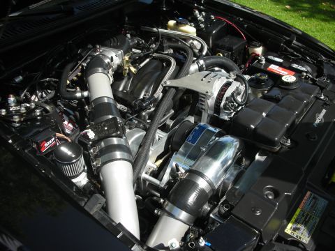 1992 Ford Crown Victoria - Engine bay details with custom modifications, including a prominent supercharger and intake system.