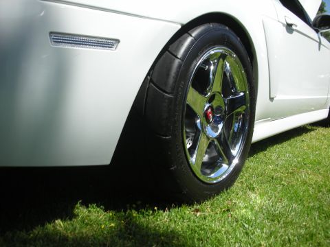 1992 Ford Crown Victoria - A white Ford Mustang is parked on grass, showing its rear wheel and side panel.
