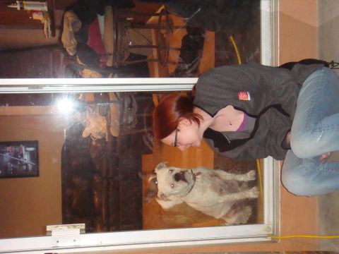 1992 Ford Bronco - A woman peers through a window at a dog, with a Supermotors logo in the corner.