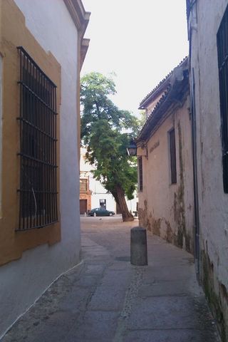 1991 Ford LTD Crown Victoria - A dark sedan is visible in the distance on a narrow street lined with old buildings.