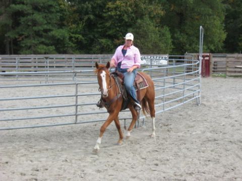 1991 Ford Bronco - Woman riding a horse in an outdoor arena with metal fencing and trees in the background.