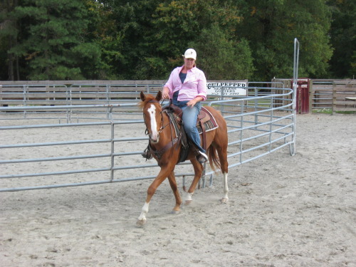 Woman in pink shirt and white hat rides brown horse in dirt arena with metal fences