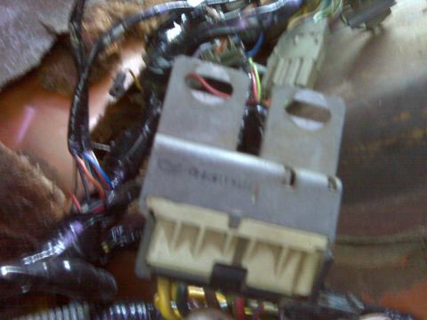 1969 Ford F-250 - A complex network of wires and connectors is visible in this close-up of a vehicle's electrical system.