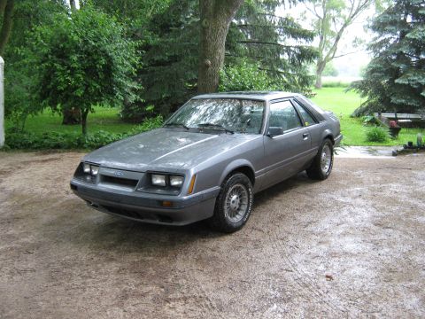 1985 Ford Mustang - A gray coupe sits on a wet gravel driveway surrounded by greenery.