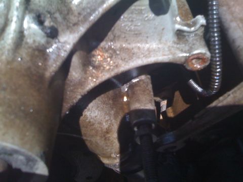 1996 Ford Bronco - Close-up view of a greasy engine component showing a fluid leak and a corrugated wiring harness attached.