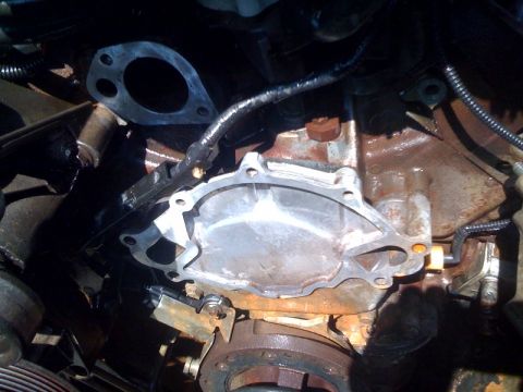 1996 Ford Bronco - Close-up of a vehicle's engine water pump assembly, with the gasket removed.