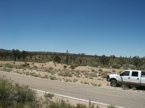 2000 Ford F-250 - Just off the I 15 on Cima Road.