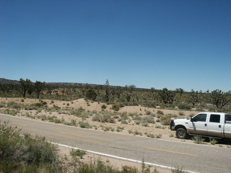 Just off the I 15 on Cima Road.