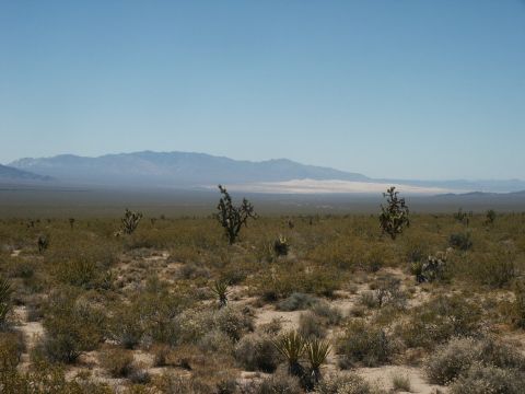2000 Ford F-250 - Kelso dunes off in the distance.