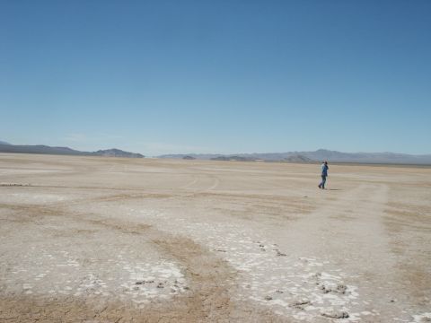 2000 Ford F-250 - A lone figure traverses a vast, arid expanse under a bright, cloudless sky.