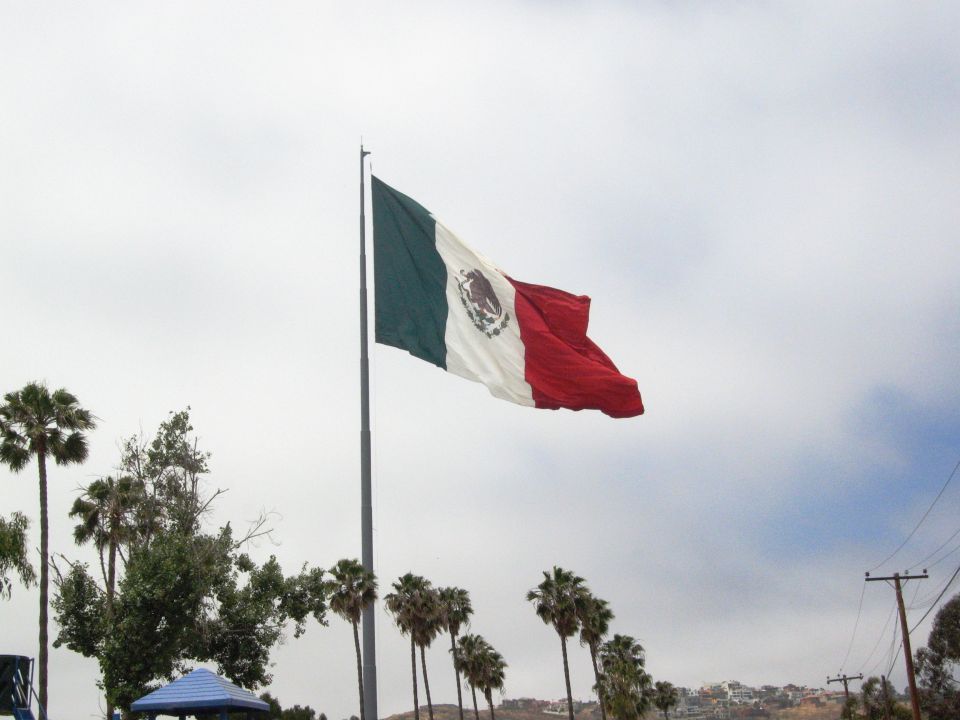 Mexican flag waving on a pole with palm trees and a cloudy sky