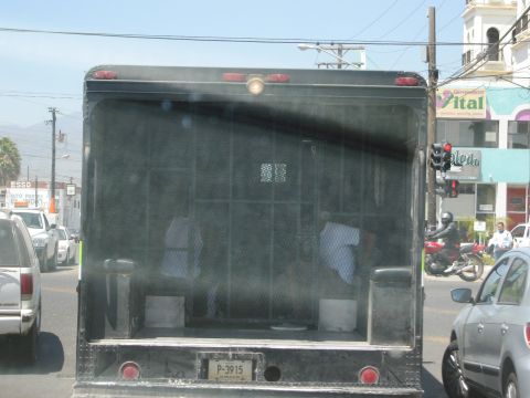 1986 Ford Bronco - A dark truck with a caged rear section is seen from behind in traffic.