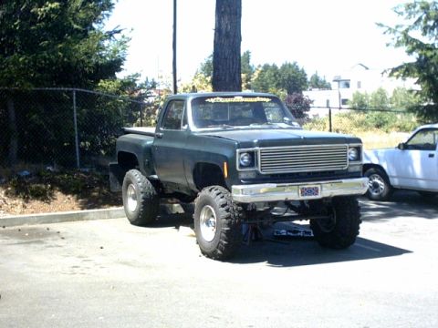 1976 Chevrolet C/K Pickup “SWAMPY”