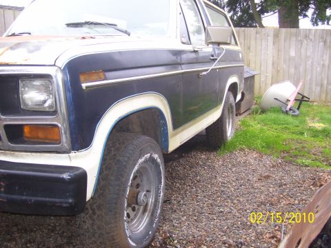 1982 Ford Bronco photo