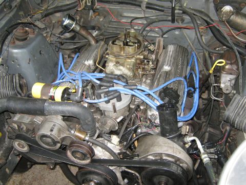 1985 Ford Mustang - Close-up view of a V8 engine, showing the carburetor, spark plug wires, and distributor.