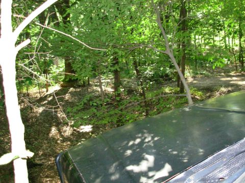 1983 Ford Bronco - While waiting for Greg to reinstall one rear axleshaft in his Disco, I decided to open this 4-wheeler trail for trucks.
