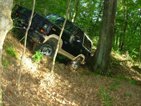 1983 Ford Bronco - The big tree behind me stopped me from getting really squared up to the hill.