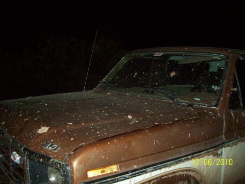 1985 Ford Bronco - This 1985 Ford Bronco is covered in mud, suggesting it has been used off-road.