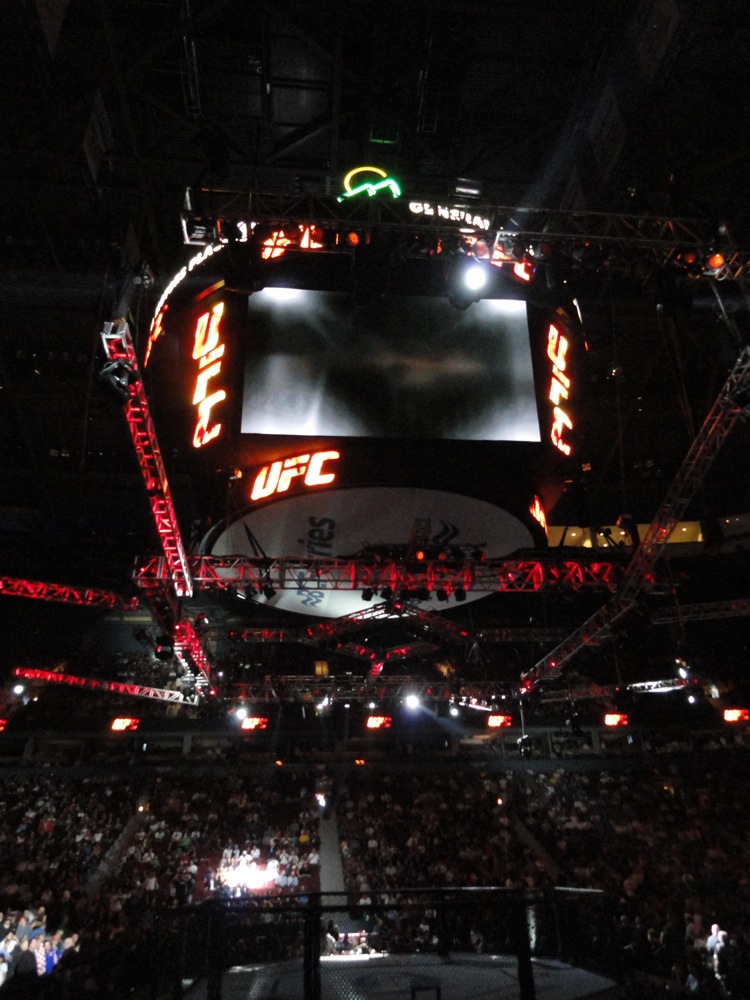 UFC octagon and large screen in a darkened arena with spectators