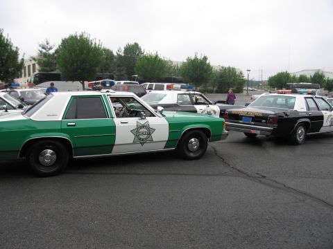 1991 Ford LTD Crown Victoria - green-and-white sheriff-livery Ford sedan parked beside a black-and-white highway patrol cruiser on wet pavement.