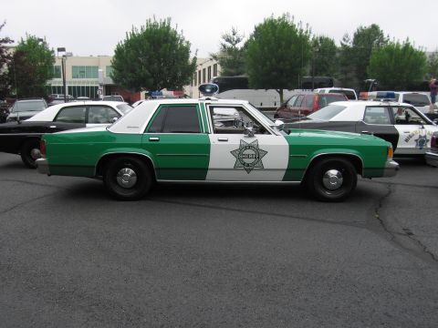 1991 Ford LTD Crown Victoria - Profile view of a green-and-white sheriff-livery Ford sedan with a star door shield and roof light, parked on pavement.