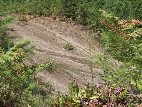 1991 Ford Bronco - A landslide in a gravel pit shows evidence of tire tracks on its slope, bordered by dense forestation.