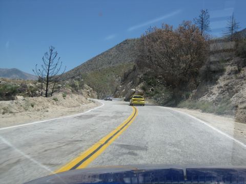 1990 Ford Probe “Anomaly”