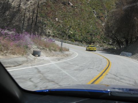 1990 Ford Probe “Anomaly”