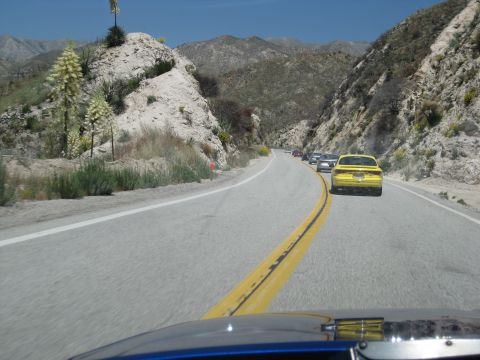1990 Ford Probe “Anomaly”