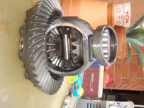 1992 Ford Bronco - A differential assembly, showing the ring gear and internal gears, is displayed on a surface with potted plants in the background.