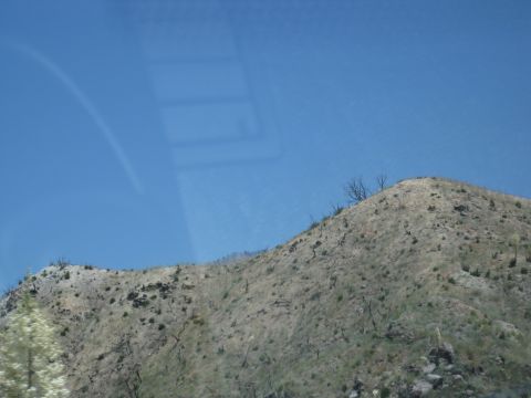 1990 Ford Probe “Anomaly”
