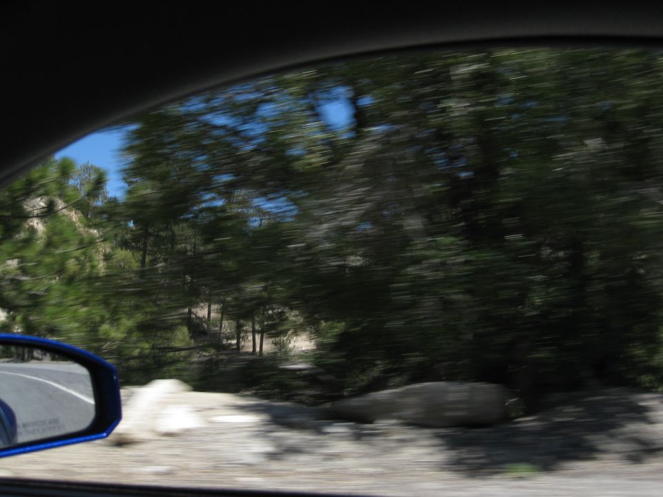 View of trees and road from a car window, with a blue side mirror visible