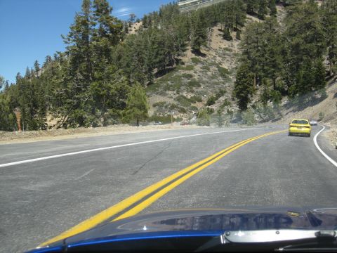 1990 Ford Probe “Anomaly”