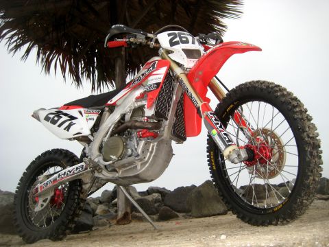 1996 Ford Bronco - Dirt bike parked on rocky ground under a palm tree.