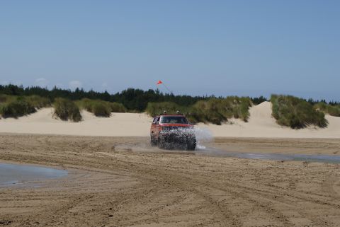 1983 Ford Bronco - Orange 1983 Ford Bronco splashes through water on a sandy beach with dunes and trees.