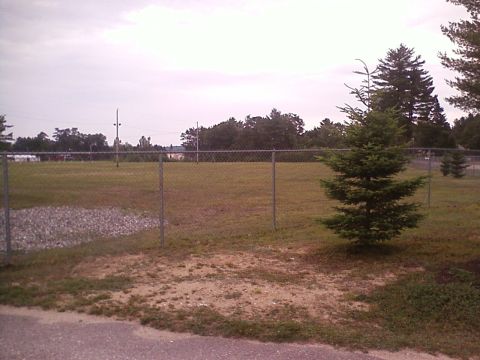 1990 Ford Bronco - A chain-link fence encloses a grassy field with trees and a small evergreen tree in the foreground.