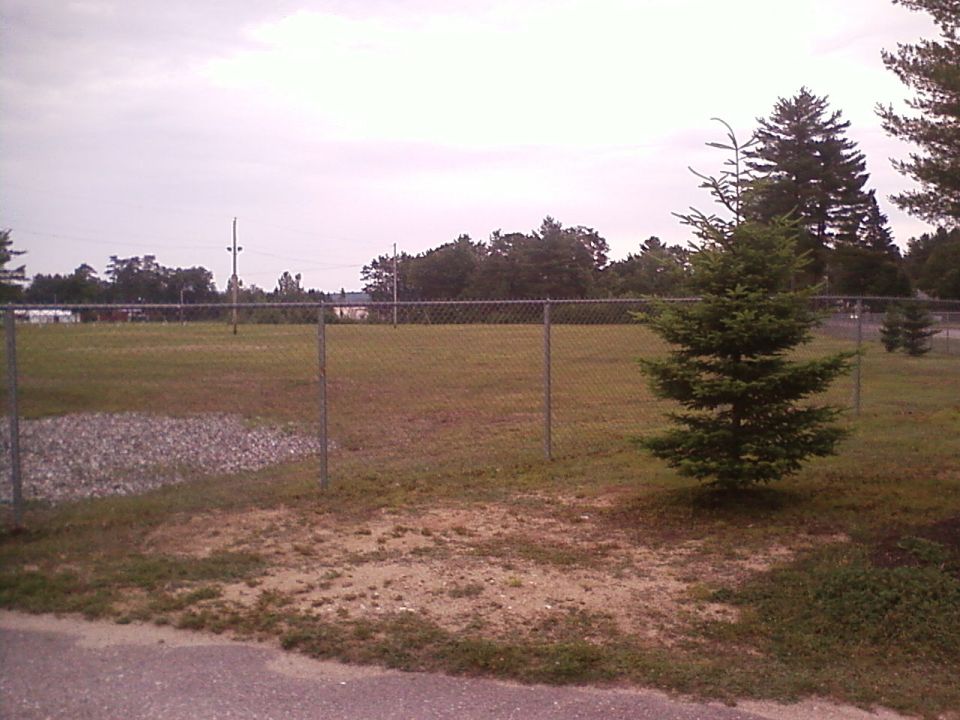 Chain-link fence in front of a grassy field with trees in the background