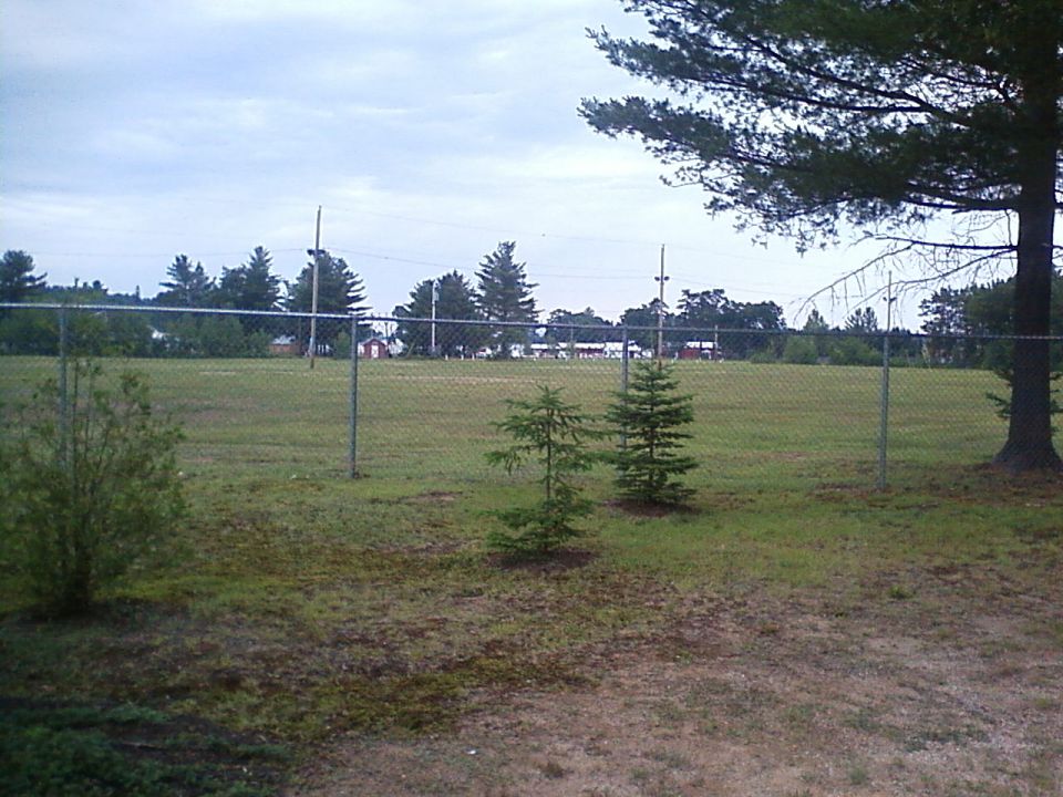 Chain-link fence in a grassy field with trees and buildings in the distance