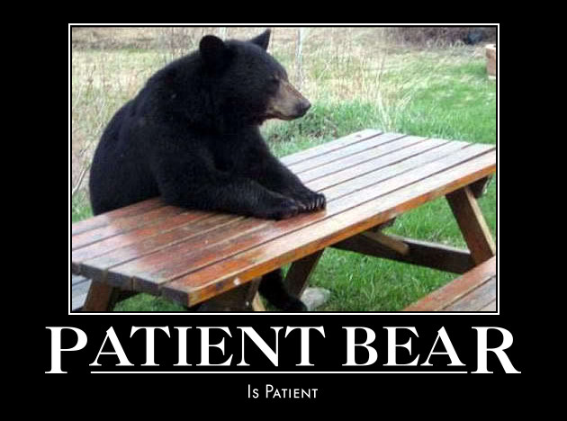 Black bear sitting on a wooden picnic table outdoors
