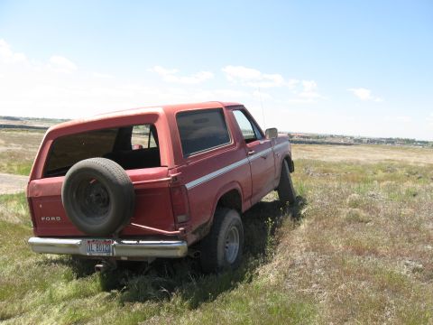 1981 Ford Bronco - This red 1981 Ford Bronco is seen from the rear, parked off-road in a grassy area with a spare tire mounted on the tailgate.