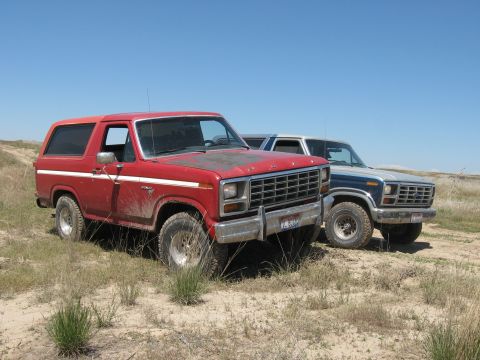 1981 Ford Bronco - Two Ford Broncos from the early 1980s are parked side-by-side in a dry, grassy outdoor area.