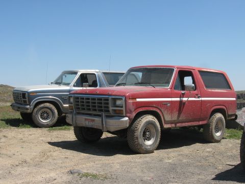1981 Ford Bronco - Two Ford Broncos, a red one and a silver one, are parked side-by-side on a dirt road with a canyon in the background.