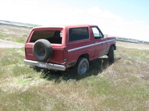 1981 Ford Bronco - A red Ford Bronco is parked on a grassy incline under a bright sky.