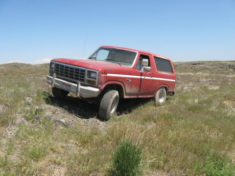 1981 Ford Bronco - This red 1981 Ford Bronco is shown navigating a rough, outdoor terrain.