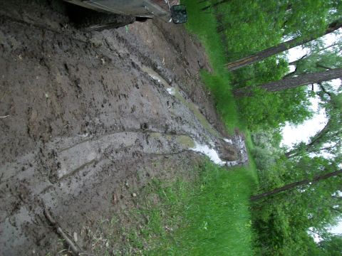 1988 Ford F-150 - A vehicle navigates a challenging muddy path surrounded by lush green trees.