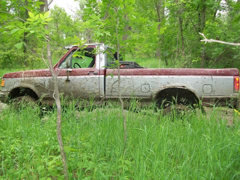 1988 Ford F-150 - A muddy 1987 Ford F-150 pickup truck is partially obscured by trees and tall grass.