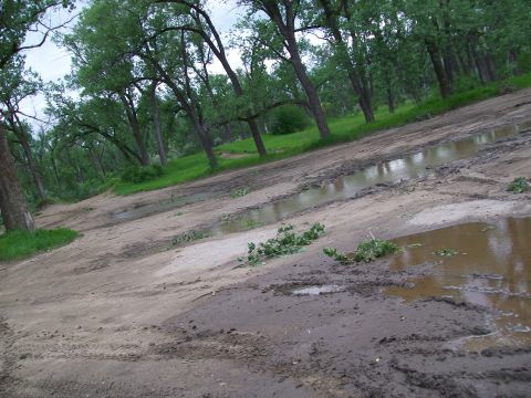 1988 Ford F-150 - A muddy dirt road winds through a wooded area with several large puddles.