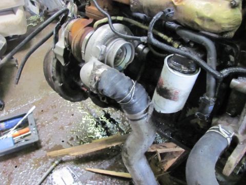 2005 Dodge 3500 - Close-up view of a turbocharger and oil filter, likely from a heavy-duty truck, with visible hoses and wiring.